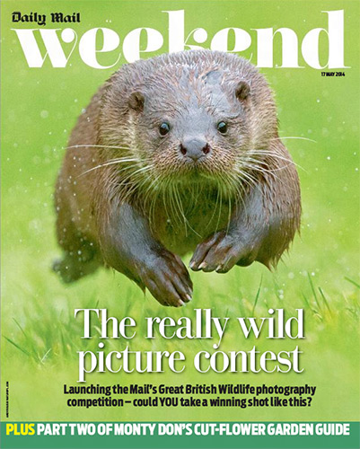 Daily-mail--Great-British-Wildlife-Competition-cover