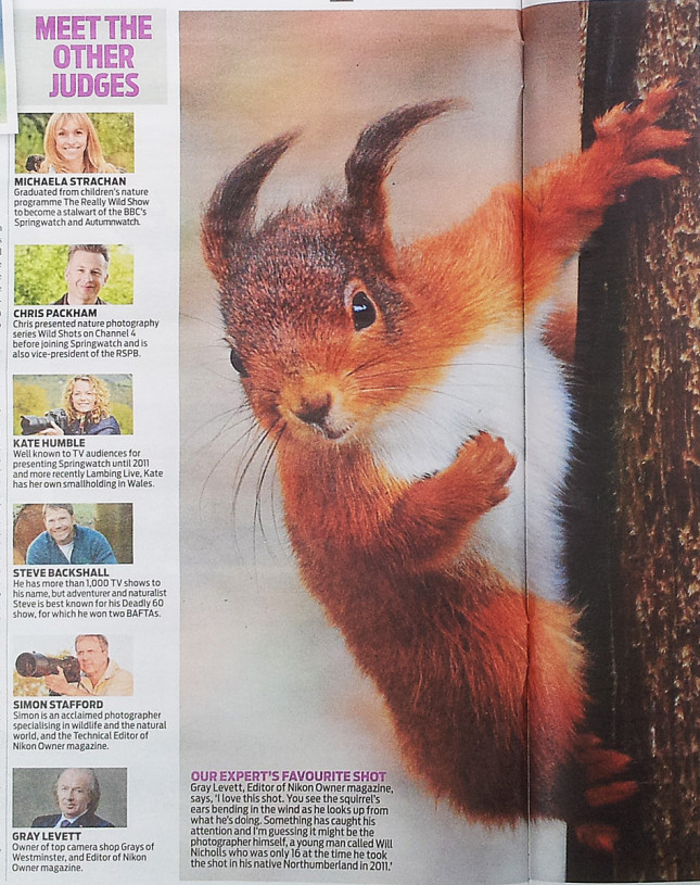 Daily-mail--Great-British-Wildlife-Competition-inside-1